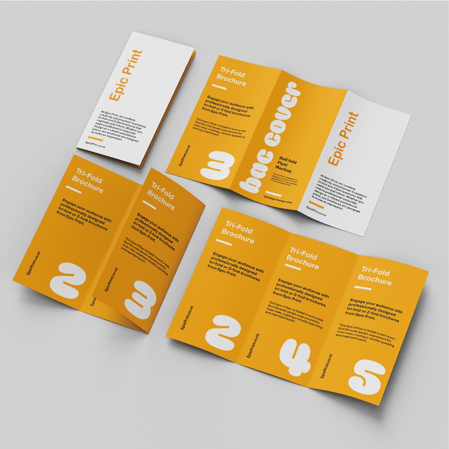 Tri-Fold / Z-Fold Brochure - Epic Print